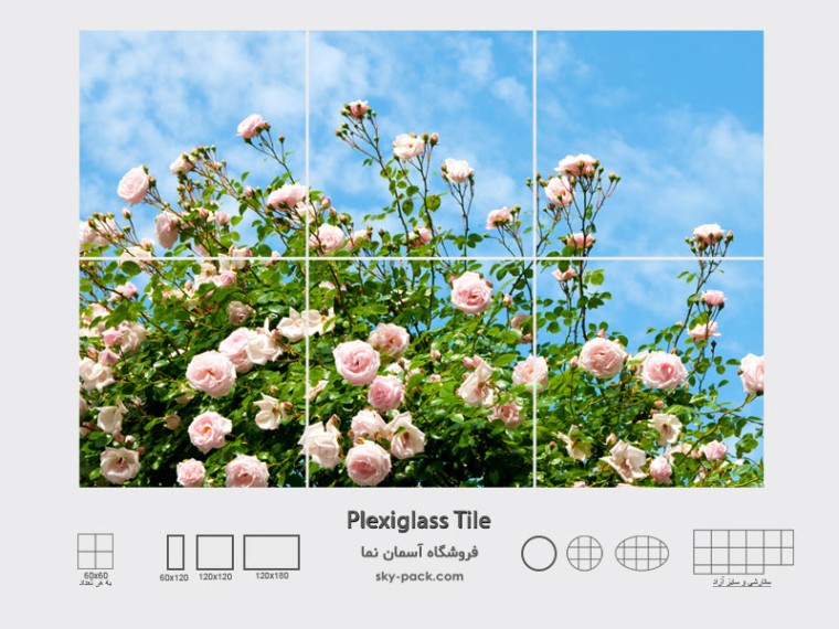 آسمان مجازی طرح بوته گل رز صورتی