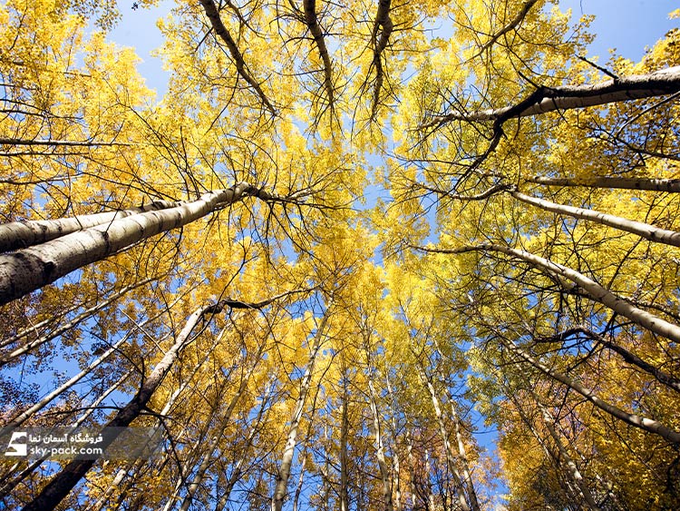 آسمان مجازی آشپزخانه