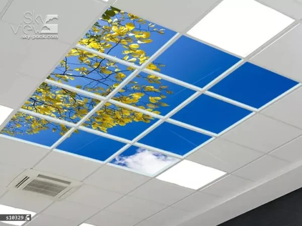 درخت مرجانی - Image 2
