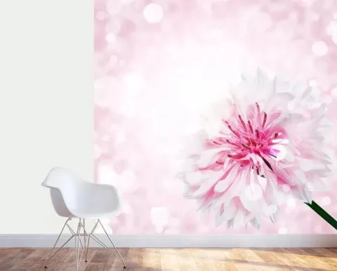 پوستر کاغذ دیواری گل میخک