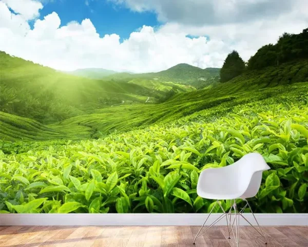 پوستر کاغذ دیواری سرزمین  چایی - Image 2