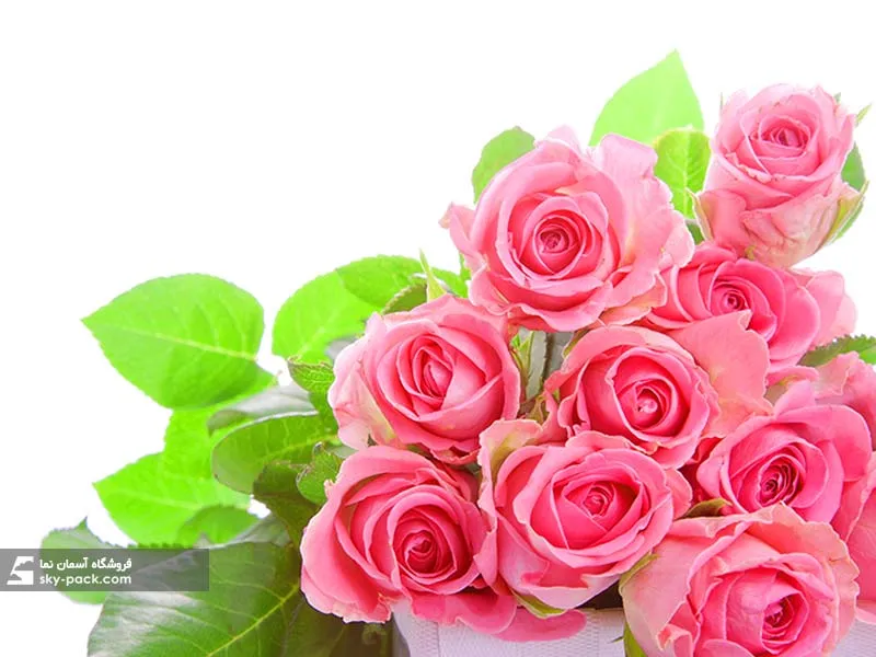 1587130514629.webp آسمان مجازی طرح گل رز زیبا - Image 1