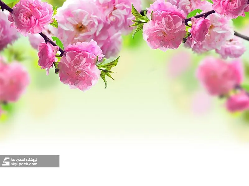 1587136091706.webp آسمان مجازی طرح گل - Image 1
