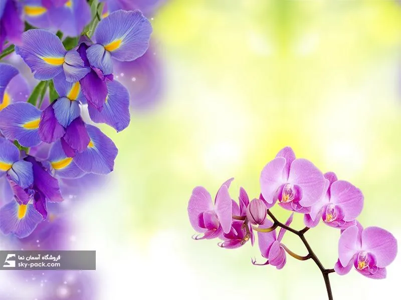 1587136351732.webp آسمان مجازی گل ارکیده - Image 1