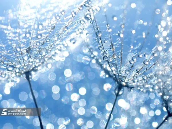 آسمان مجازی طرح گل قاصدک ، کد 34133 - Image 2
