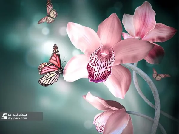 آسمان مجازی گل ، کد 34132 - Image 2