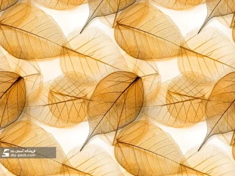 آسمان مجازی طرح برگ نارنجی