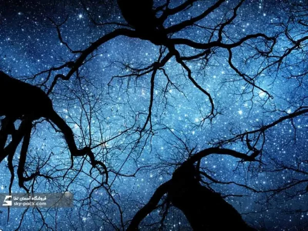 آسمان مجازی طرح آسمان شب و درخت - Image 2