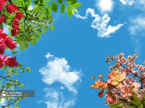 آسمان مجازی گل کاغذی قرمز