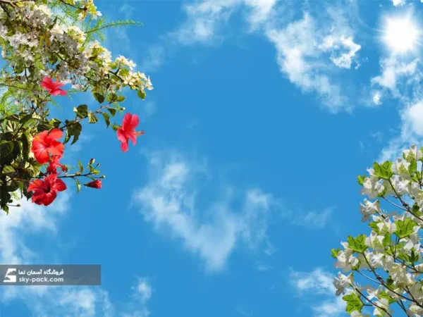 آسمان مجازی گل قرمز چینی و شکوفه های سفید - Image 2