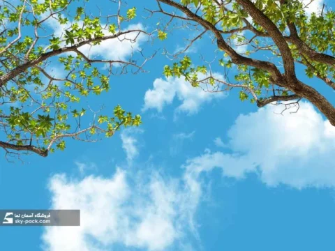 آسمان مجازی درختان بهاری