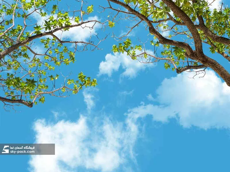 1591085977437.webp آسمان مجازی درختان بهاری - Image 1