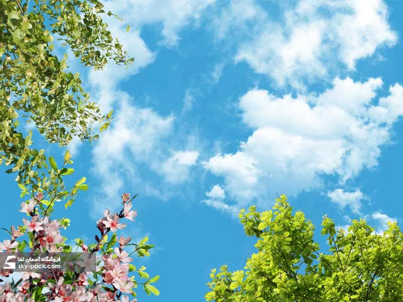 1591087838216.webp آسمان مجازی درختان چنار و گلهای زیبا - Image 1