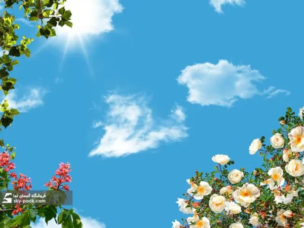 آسمان مجازی گلهای رز و شادابی - Image 2