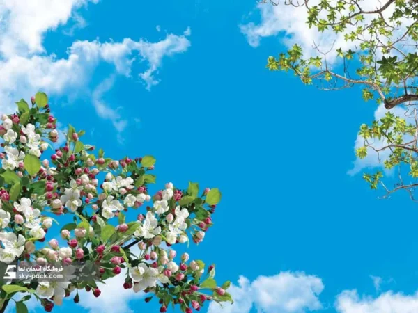 آسمان مجازی طرح شکوفه های سیب - Image 2