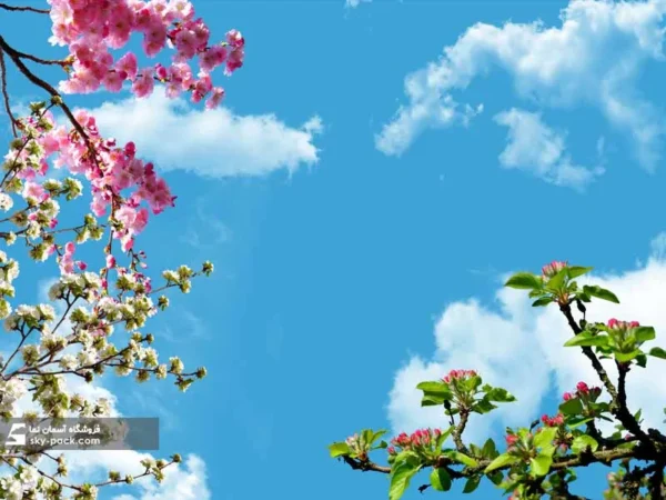 آسمان مجازی طرح تابستان - Image 2