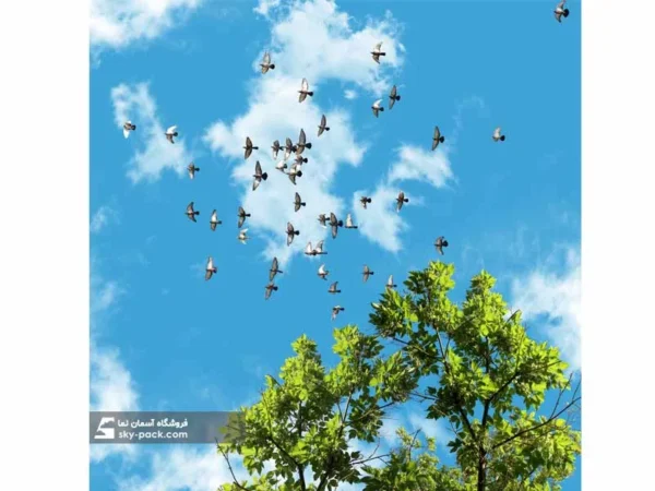 آسمان مجازی طرح کبوترها - Image 2