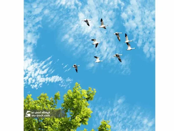 آسمان مجازی طرح قوی مهاجر - Image 2
