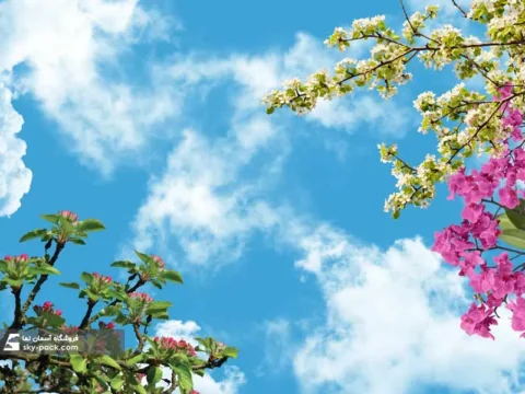 آسمان مجازی طرح گل ارکیده