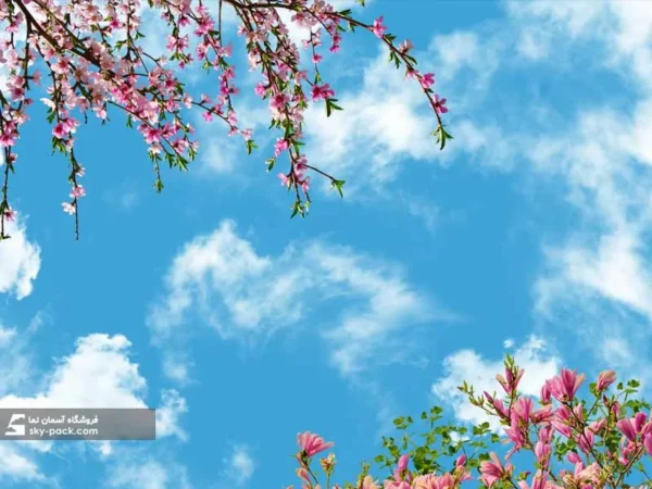 آسمان مجازی طرح شکوفه های هلو - Image 2