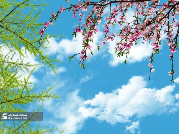 آسمان مجازی طرح درخت بهار با شکوفه های هلو - Image 2
