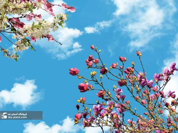 آسمان مجازی طرح شکوفه گیلاس چینی - Image 2