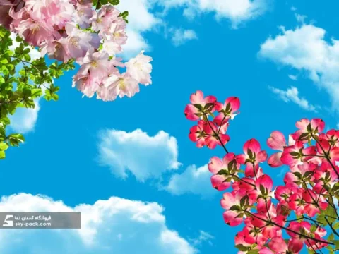 آسمان مجازی طرح گلبرگ قرمز