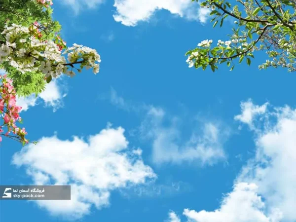 آسمان مجازی طرح گلها - Image 2