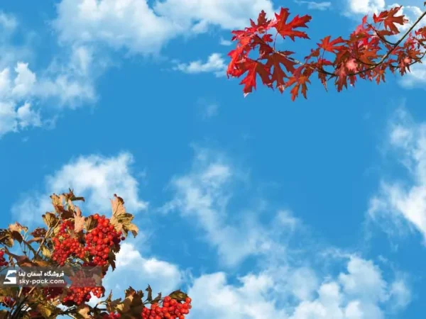آسمان مجازی طرح گیاه قهوه و برگ نارنجی - Image 2