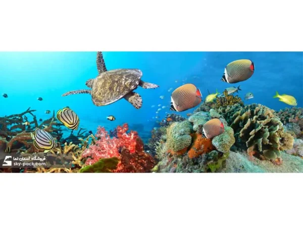 آسمان مجازی طرح آکواریوم و اقیانوس - Image 2