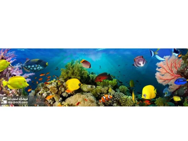 آسمان مجازی طرح آکواریوم اقیانوسی - Image 2