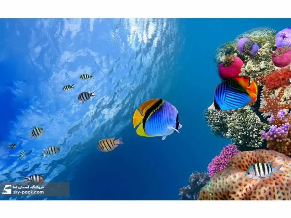 آسمان مجازی طرح دنیای زیر آب - Image 2