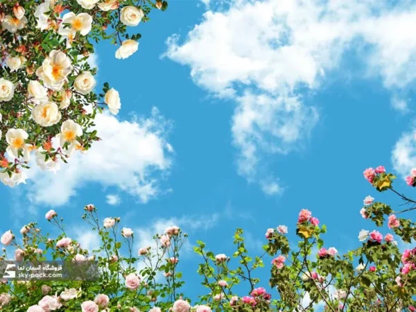 آسمان مجازی طرح جشنواره گلهای رز - Image 2