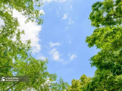 آسمان مجازی طرح درختان