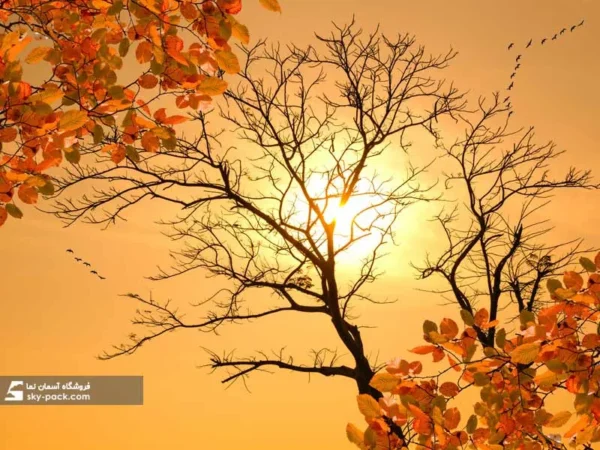 آسمان مجازی طرح پاییز - Image 2