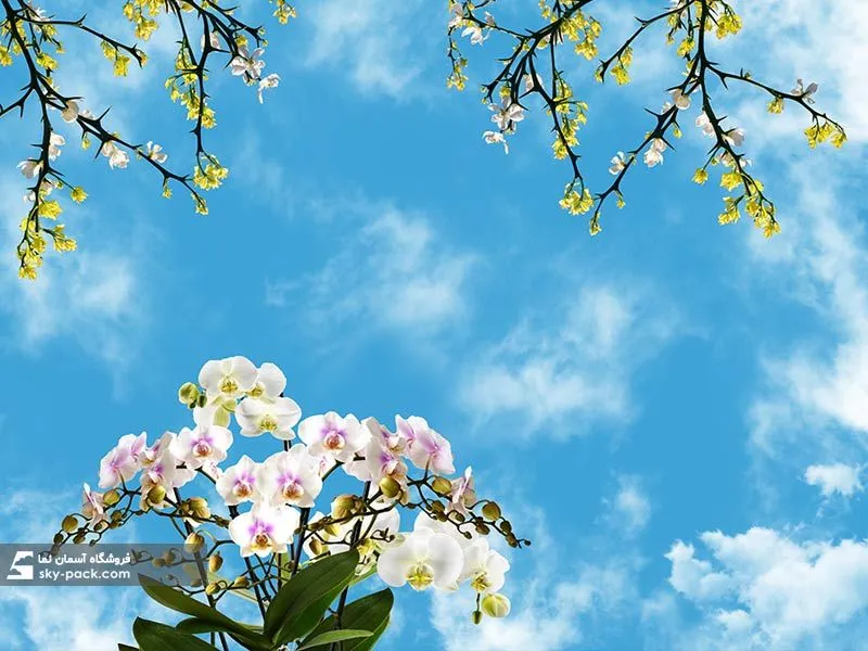 1596541902594.webp طرح گلهای زرد و آسمان - Image 1
