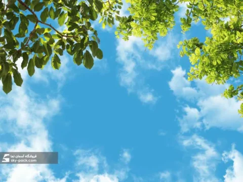 آسمان مجازی طرح درختان سبز