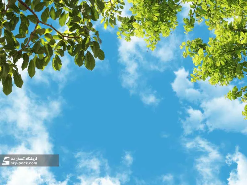 1596543042866.webp آسمان مجازی طرح درختان سبز - Image 1