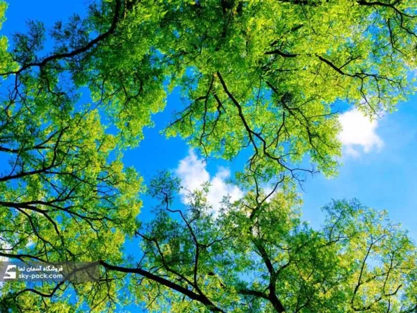 آسمان مجازی طرح درختان سبز و ابرها - Image 2