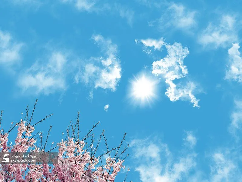 1597579113933.webp آسمان مجازی خورشید و شکوفه - Image 1
