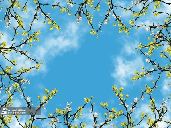 آسمان مجازی طرح حلقه گل - Image 2