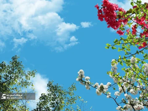 آسمان مجازی طرح گل کاغذی قرمز