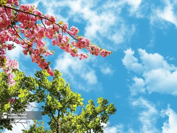 آسمان مجازی طرح برگ های سبز - Image 2