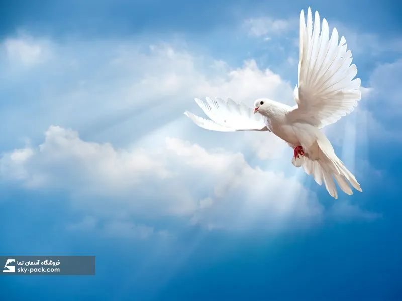1599553194899.webp آسمان مجازی طرح کبوتر و ابر سفید - Image 1