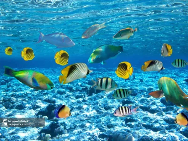 آسمان مجازی طرح آکواریوم - Image 2