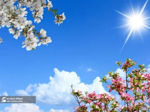 آسمان مجازی طرح شکوفه