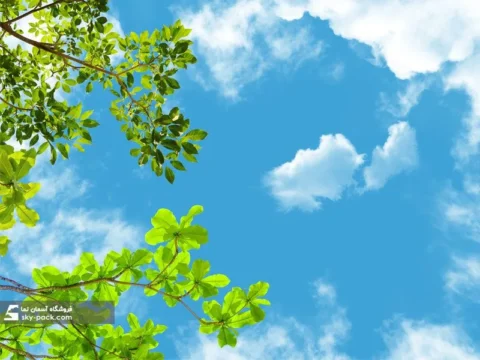 آسمان مجازی طرح درخت و اسمان