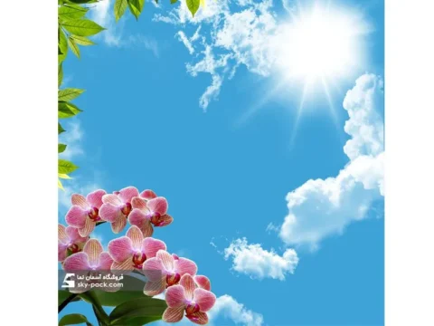 آسمان مجازی طرح ارکیده و پس زمینه آسمان
