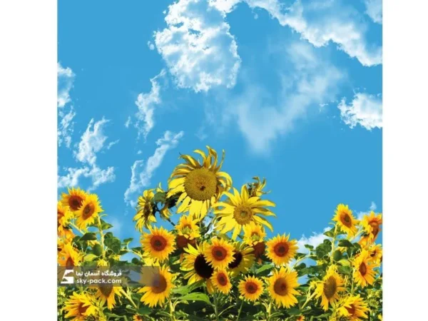 آسمان مجازی طرح گلهای آفتابگردان - Image 2