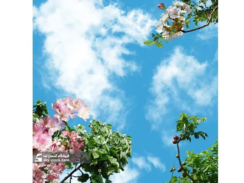 1600506496956.webp آسمان مجازی برگ های زیبای سبز - Image 1